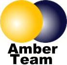 amber_team